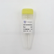 VAHTS Target Capture Core Exome Panel NC001