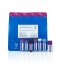 Aspergillus flavus, Aspergillus fumigatus & Aspergillus terreus Multiplex