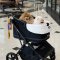 Bernd Glam Pet (Duo Mode) - Pet Stroller