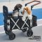 Bernd Pet Stroller - Bloom Pet Nano