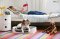 Curver Bunk Bed/Pet Carrier/Travel Crate with Cushions, 3-in-1
