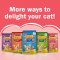 FRISKIES® Kitten Discoveries Dry Cat Food