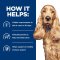 Hill's Prescription Diet z/d Skin/Food Sensitivities - อาหารเม็ดสุนัขสูตรผิวแพ้ง่าย/แพ้อาหาร