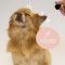Kin+Kind Dog Ear Cleanser - น้ำยาเช็ดหูสุนัข (4Oz.)