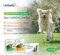 Lintbells YuMOVE Advance 360 Support for Dog