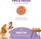 Nina Ottosson Dog Smart Composite Interactive Treat Puzzle Dog Toy, Orange