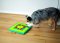 Nina-Ottosson Dog Interactive Toy - MultiPuzzle