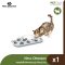 Nina-Ottosson Cat Interactive Toy - ของเล่นฝึกทักษะแมว รุ่น Rainy Day
