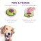 Nina Ottosson by Outward Hound Dog Treat Maze Interactive Dog