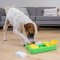 Nina-Ottosson Interactive Dog Toy - Dog Brick Green