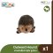 Outward Hound Hedgehogz Plush - ของเล่นตุ๊กตาสุนัข รูปเม่น
