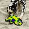 Outward Hound Durablez Gecko - ของเล่นสุนัข ตุ๊กตาเกคโค่