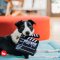 P.L.A.Y - ของเล่นสุนัขคอลเลคชัน " Hollywoof Cinema Collection"