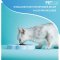 PetDreamHouse PAW 2-IN-1 for Cat and Small Dogs - จานอาหารสำหรับแมวและสุนัขพันธุ์เล็ก สีเบบี้บลู