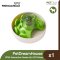 PetDreamHouse SPIN Interactive and Slow Feeder Green UFO Maze