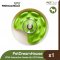PetDreamHouse SPIN Interactive and Slow Feeder Green UFO Maze