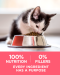 PURINA ONE HEALTHY KITTEN FORMULA - อาหารลูกแมว เกรดซุปเปอร์พรีเมี่ยม