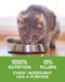 PURINA ONE INDOOR ADVANTAGE - อาหารแมวโตเลี้ยงในบ้าน