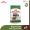 Royal Canin Mini Indoor Adult