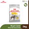 Royal Canin Maxi Dermacomfort - สุนัขโต พันธุ์ใหญ่ ผิวแพ้ง่าย