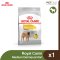 Royal Canin Medium Dermacomfort - สุนัขโต พันธุ์กลาง ผิวแพ้ง่าย