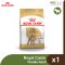 Royal Canin Poodle Adult - สุนัขโต พันธุ์พุดเดิ้ล