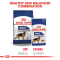 Royal Canin Maxi Adult Chunks In Gravy - อาหารเปียกสุนัขโตพันธุ์ใหญ่