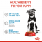 Royal Canin Maxi Puppy Chunks In Gravy - อาหารเปียกลูกสุนัขพันธุ์ใหญ่