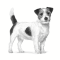 Royal Canin Vet Adult Small Dogs - อาหารเม็ดสุนัขโตพันธุ์เล็ก ไม่ทำหมัน