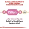 Royal Canin Persian Kitten - ลูกแมว พันธุ์เปอร์เซีย [400g.,2kg.4kg.,10kg.]