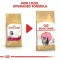 Royal Canin Persian Kitten - ลูกแมว พันธุ์เปอร์เซีย [400g.,2kg.4kg.,10kg.]