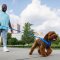 RUFFWEAR Front Range™ Dog Leash (New Color)