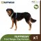 RUFFWEAR Front Range® Dog Harness - สายรัดอกสุนัข รุ่น Front Range สีใหม่