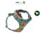 RUFFWEAR Front Range® Dog Harness - สายรัดอกสุนัข รุ่น Front Range สีใหม่