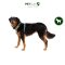 RUFFWEAR Front Range® Dog Harness - สายรัดอกสุนัข รุ่น Front Range สีใหม่