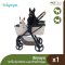 IBIYAYA Retro Luxe Pet Stroller - Soft Green