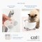 Catit PIXI Fountain Filter