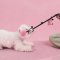 LUUKS UP TUG PALS Dog Toy - ของเล่นเชือกสุนัข 2 สี