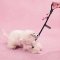 LUUKS UP TUG PALS Dog Toy - ของเล่นเชือกสุนัข 2 สี