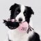 LUUKS UP Love Tug & Sky Toy - ของเล่นสุนัข ตุ๊กตา เชือก