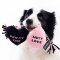 LUUKS UP Love Tug & Sky Toy - ของเล่นสุนัข ตุ๊กตา เชือก