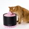 LUUKS UP Ceramic Drinking Fountain 2 Colors