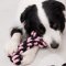 LUUKS UP Rope Dog Toy