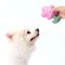 LUUKS UP SNUFFLE SAKURA Dog Toy