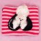 LUUKS UP SNOOZE&BOOGIE Pet Mat - ที่นอนสัตว์เลี้ยง
