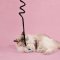 LUUKS UP TUG PALS CAT TOY - ของเล่นแมว ไม้ล่อแมว 2 สี