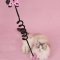 LUUKS UP TUG PALS CAT TOY - ของเล่นแมว ไม้ล่อแมว 2 สี