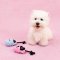 LUUKS UP WHIMSY TUGS Dog Toy - ของเล่นสัตว์เลี้ยง ซ่อนอาหาร เชือก