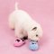 LUUKS UP WHIMSY TUGS Dog Toy - ของเล่นสัตว์เลี้ยง ซ่อนอาหาร เชือก