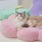 LUUKS UP Cookie Nest Pet Bed